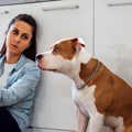 『ワガママ犬』にな…