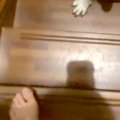 ちょっとだけ2階に行…