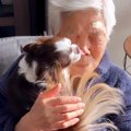 おばあちゃんの顔に…