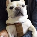 ビチャビチャな手足…