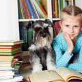 犬の賢さの秘密が解…