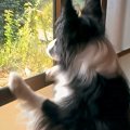 4日間、家を留守にし…