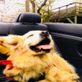 「やっほーい！」初…