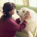 お風呂が嫌すぎて駄…