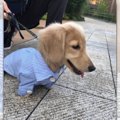 「僕かわいい？」彼…