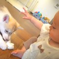 1歳の赤ちゃんが『子…