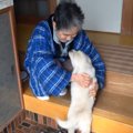 超犬好きな母に『内…