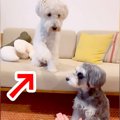 『こうだよ、こう…』…