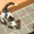 夜7時、玄関ドアを開…