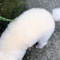 近所のおじさんに『…