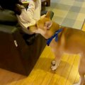 雷が鳴っている日、…