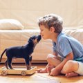 犬が飼い主にしてい…