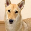 通りすがりの人に、…