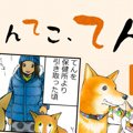 てんてこ、てん。【…