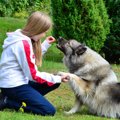 犬がおやつ無しでは…