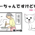 ちーちゃんですけど…