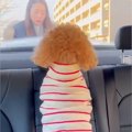 車で駅までお迎えに…