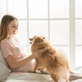 妊娠中に犬を飼う時…