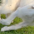 ふと『遊んでいる大…