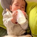 人間の赤ちゃんに『…