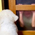 喧嘩で泣いてしまっ…