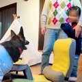 強面の大型犬を怖が…