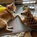 【奇跡的な再会】最…