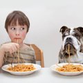 愛犬に虫歯ができて…