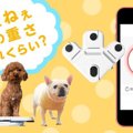 スマホでペット健康…