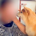 犬を『寂しがり屋の…