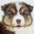 『子どもが怖がるか…