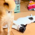 ストーブで温まって…