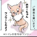 かわうそちわわ。（3…