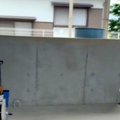 2頭の大型犬を飼って…