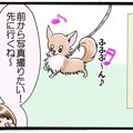 かわうそちわわ。（8…