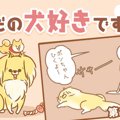ただの犬好きです。…