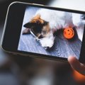 犬が撮影を始めると…