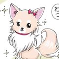 かわうそちわわ。（3…