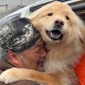 アラスカから帰って…