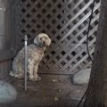 長いこと路上生活を…