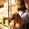 愛犬との夜の散歩に…