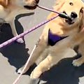 『絶対に帰りたくな…