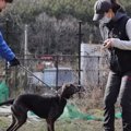 【共に幸せに】災害…