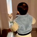 1歳の男の子と半日ぶ…
