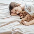 犬が飼い主と『一緒…