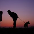 犬の散歩を夜にする…