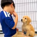なぜか『子犬』を呼…