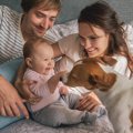 犬に使える『人間用…