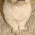 深夜3時、赤ちゃんに…