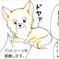 かわうそちわわ。（3…